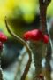 Nonton Film Life on Our Planet Season 1 Episode 3 Bioskop21 Nonton Film Life on Our Planet Season 1 Episode 3 Bioskop21