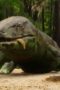 Nonton Film Life on Our Planet Season 1 Episode 1 Bioskop21 Nonton Film Life on Our Planet Season 1 Episode 1 Bioskop21