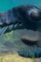 Nonton Film Life on Our Planet Season 1 Episode 2 Bioskop21 Nonton Film Life on Our Planet Season 1 Episode 2 Bioskop21