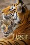 Nonton Film Tiger (2024) Bioskop21 Nonton Film Tiger (2024) Bioskop21