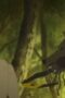 Nonton Film The Fire Hunter Season 1 Episode 1 Bioskop21 Nonton Film The Fire Hunter Season 1 Episode 1 Bioskop21