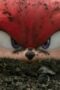 Nonton Film Knuckles Season 1 Episode 1 Bioskop21 Nonton Film Knuckles Season 1 Episode 1 Bioskop21