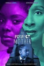 Nonton Film The Perfect Mother (2024) Bioskop21