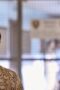 Nonton Film The Flight Attendant Season 1 Episode 5 Bioskop21 Nonton Film The Flight Attendant Season 1 Episode 5 Bioskop21