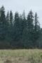 Nonton Film Outlast Season 1 Episode 5 Bioskop21 Nonton Film Outlast Season 1 Episode 5 Bioskop21