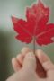 Nonton Film Goblin Season 1 Episode 4 Bioskop21 Nonton Film Goblin Season 1 Episode 4 Bioskop21