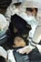 Nonton Film TOKYO MER: Mobile Emergency Room Season 1 Episode 8 Bioskop21 Nonton Film TOKYO MER: Mobile Emergency Room Season 1 Episode 8 Bioskop21