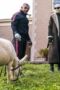 Nonton Film Doom Patrol Season 1 Episode 2 Bioskop21 Nonton Film Doom Patrol Season 1 Episode 2 Bioskop21