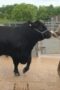 Nonton Film Clarkson’s Farm Season 4 Episode 5 Bioskop21 Nonton Film Clarkson’s Farm Season 4 Episode 5 Bioskop21